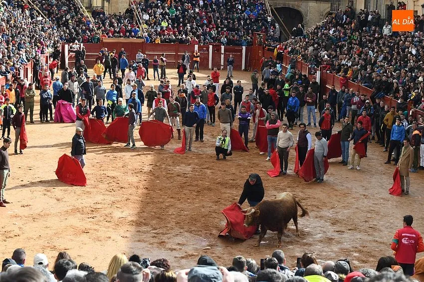 Foto 4 - Los astados de Orive brindan much&iacute;simo juego en una capea &lsquo;por eliminaci&oacute;n&rsquo; y con algo de bronca