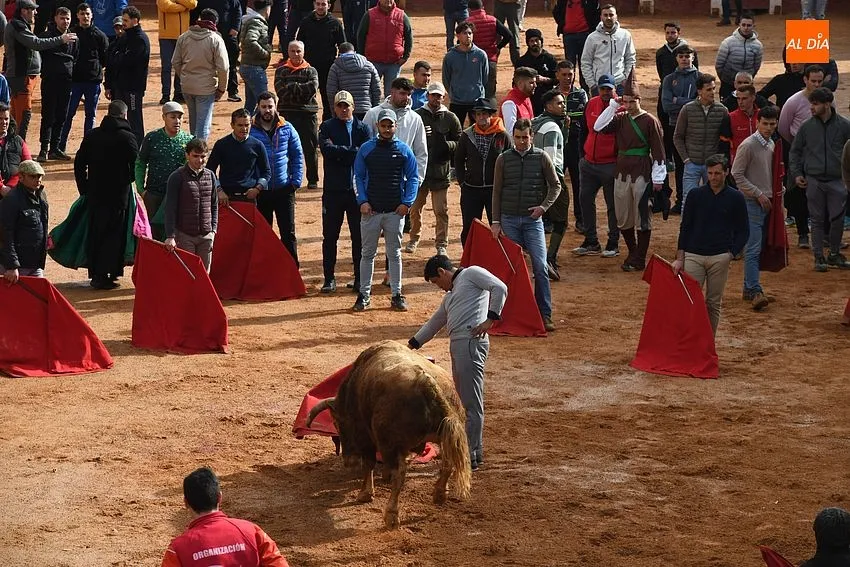 Foto 3 - Los astados de Orive brindan much&iacute;simo juego en una capea &lsquo;por eliminaci&oacute;n&rsquo; y con algo de bronca