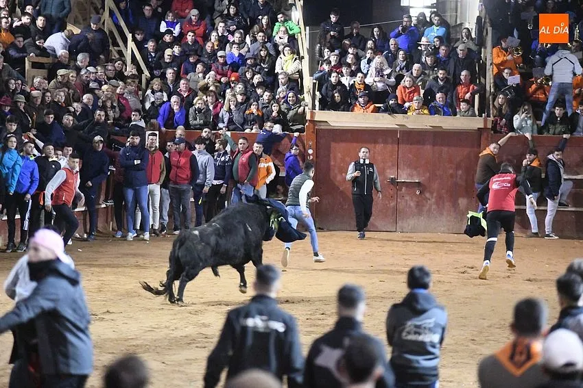 Foto 8 - Una floja capea da paso a un fugaz desencierro
