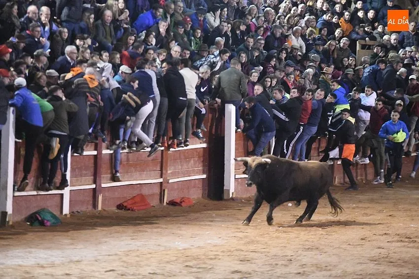 Foto 9 - Una floja capea da paso a un fugaz desencierro