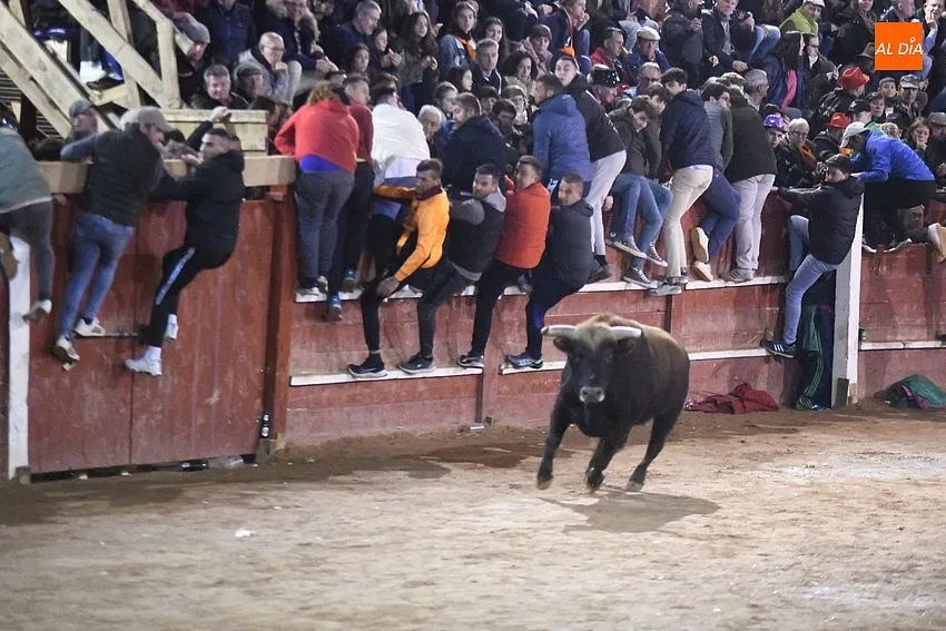 Foto 10 - Una floja capea da paso a un fugaz desencierro
