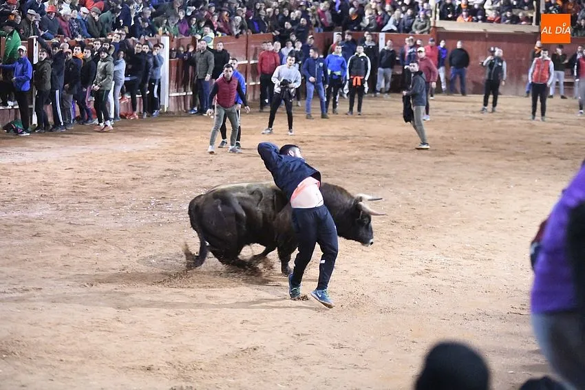 Foto 11 - Una floja capea da paso a un fugaz desencierro