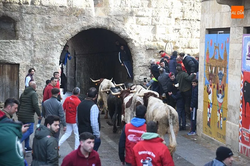 Foto 10 - Un toro rebelde alarga casi una hora un encierro que dej&oacute; a un pamplon&eacute;s corneado en el muslo