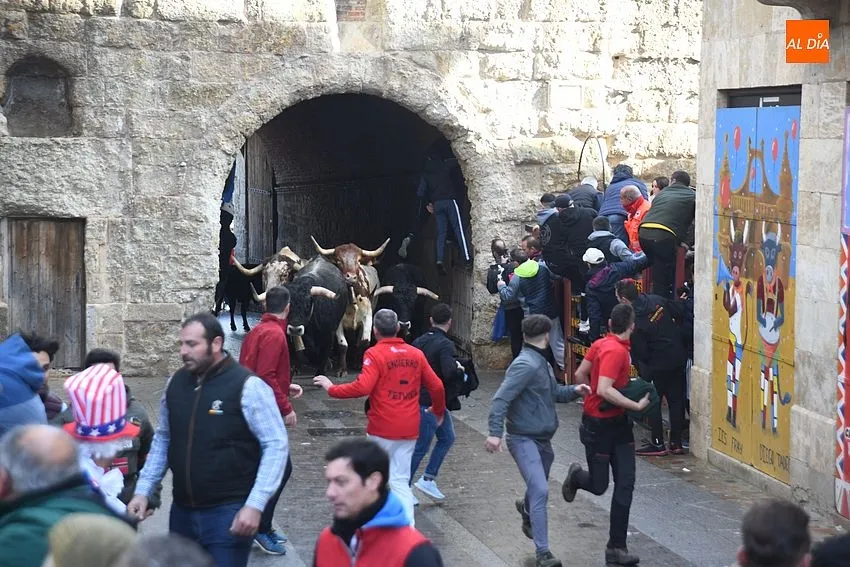 Foto 9 - Un toro rebelde alarga casi una hora un encierro que dej&oacute; a un pamplon&eacute;s corneado en el muslo