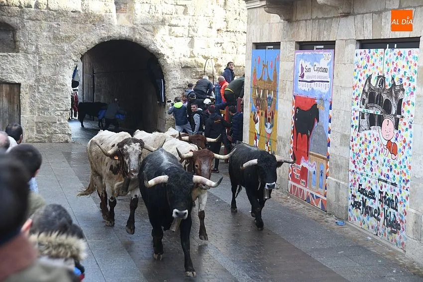 Foto 8 - Un toro rebelde alarga casi una hora un encierro que dej&oacute; a un pamplon&eacute;s corneado en el muslo