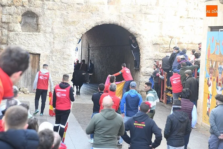 Foto 6 - Un toro rebelde alarga casi una hora un encierro que dej&oacute; a un pamplon&eacute;s corneado en el muslo