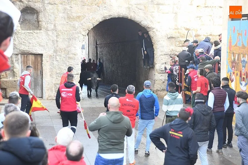 Foto 5 - Un toro rebelde alarga casi una hora un encierro que dej&oacute; a un pamplon&eacute;s corneado en el muslo