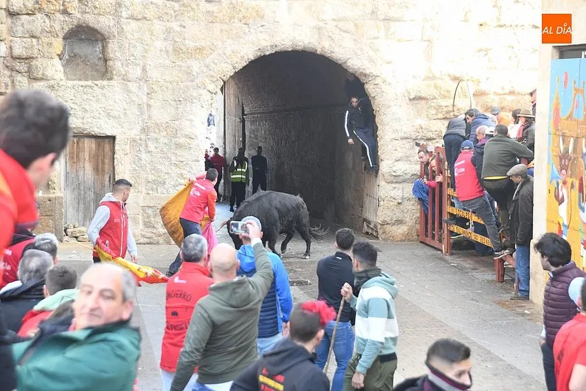 Foto 4 - Un toro rebelde alarga casi una hora un encierro que dej&oacute; a un pamplon&eacute;s corneado en el muslo