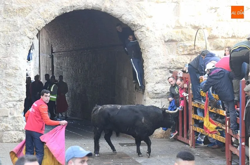 Foto 3 - Un toro rebelde alarga casi una hora un encierro que dej&oacute; a un pamplon&eacute;s corneado en el muslo