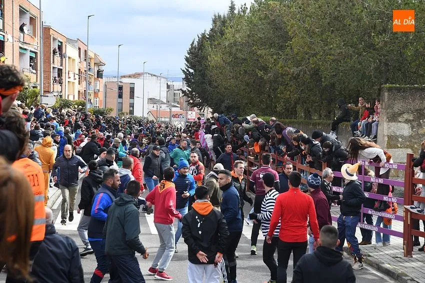 Foto 8 - Corneado un hombre en el muslo en el primer encierro del Carnaval