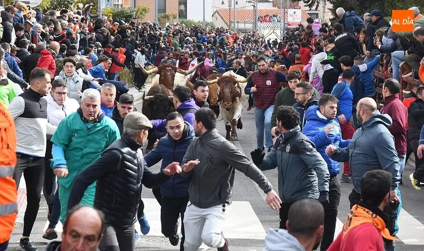 Foto 9 - Corneado un hombre en el muslo en el primer encierro del Carnaval