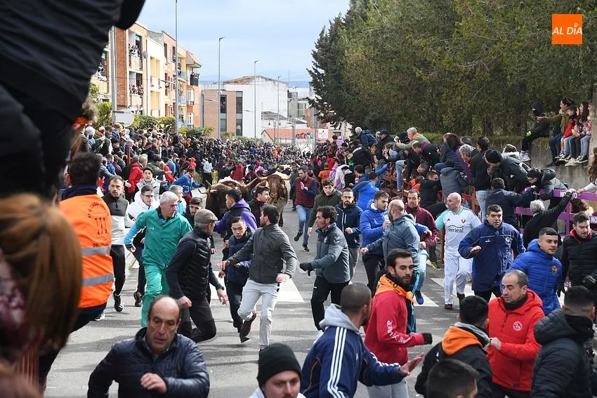 Foto 10 - Corneado un hombre en el muslo en el primer encierro del Carnaval