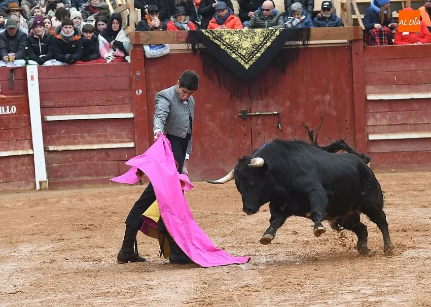 Bolsín Taurino Ciudad Rodrigo