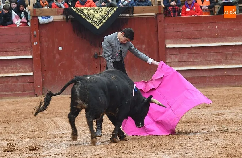Bolsín Taurino Ciudad Rodrigo