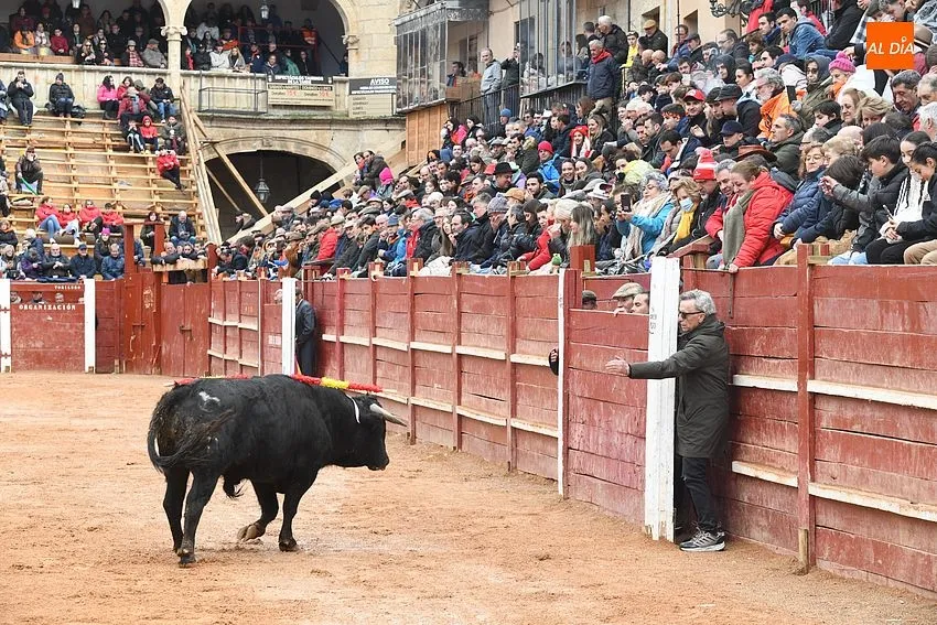 Foto 2 - Ortega Cano visita el Carnaval del Toro