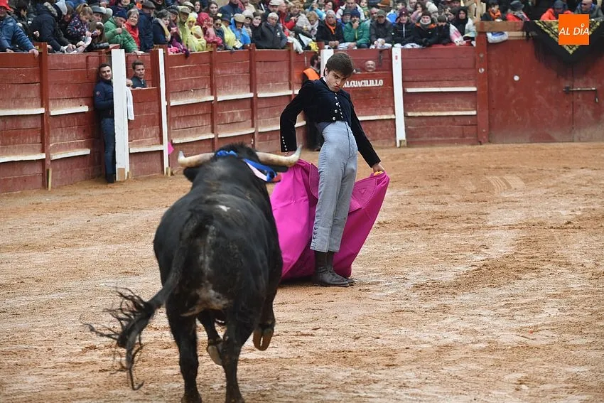 Bolsín Taurino Ciudad Rodrigo