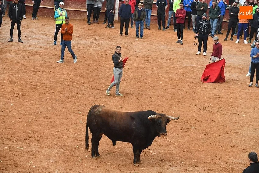 Foto 2 - Jer&oacute;nimo Sandoval se lleva la primera distinci&oacute;n &lsquo;Conrado Abad&rsquo;