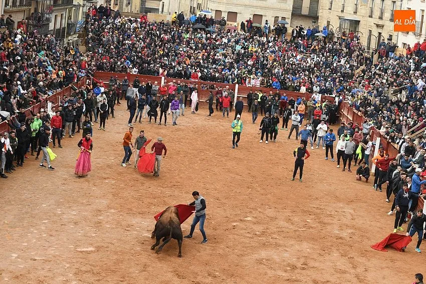 Foto 10 - La imponente apariencia de los toros de Aldeanueva causa sensaci&oacute;n en la capea matinal