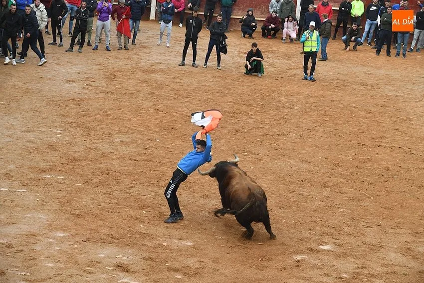Foto 3 - La imponente apariencia de los toros de Aldeanueva causa sensaci&oacute;n en la capea matinal