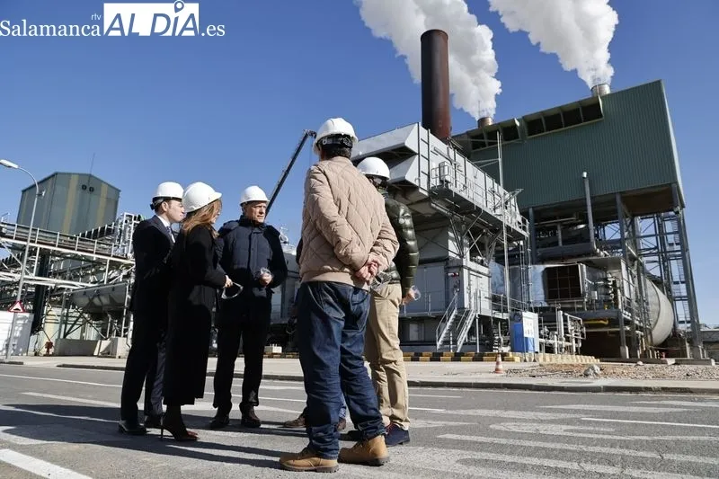 Visita del alcalde de Salamanca capital, Carlos García Carbayo, a la planta dedel grupo Vertex Bioenergy (Biocarburantes de Castilla y León), situada en Babilafuente. Foto de David Sañudo