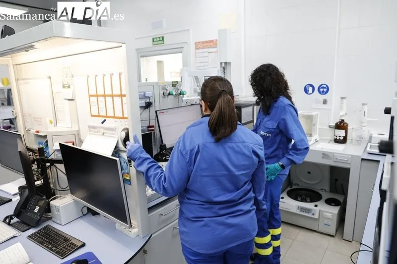 Visita del alcalde de Salamanca capital, Carlos García Carbayo, a la planta dedel grupo Vertex Bioenergy (Biocarburantes de Castilla y León), situada en Babilafuente. Foto de David Sañudo