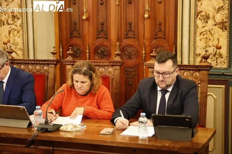 Pleno de la Diputación de Salamanca celebrado este miércoles 28 de febrero. Foto David Sañudo