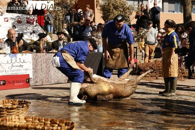 Matanza tradicional de Guijuelo 2024 | FOTOS: David Sañudo 