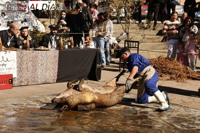 Matanza tradicional de Guijuelo 2024 | FOTOS: David Sañudo 