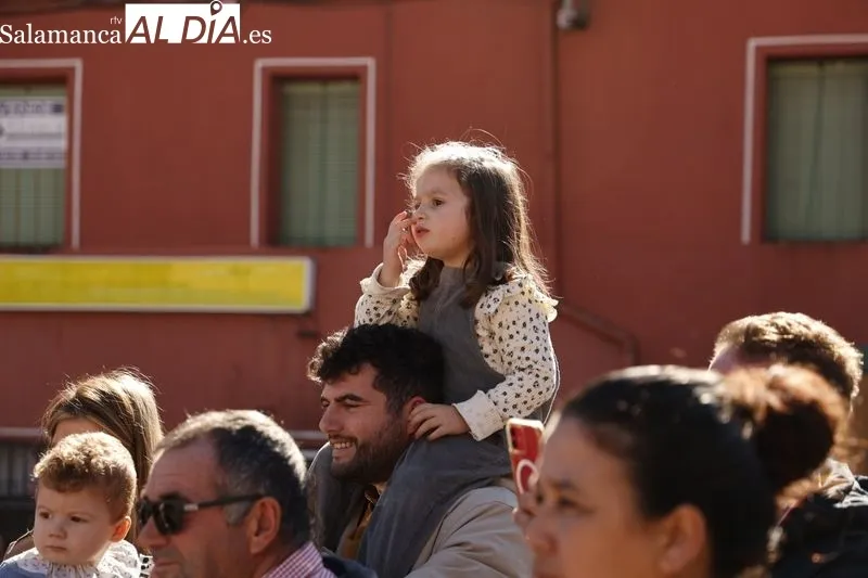 Matanza tradicional de Guijuelo 2024 | FOTOS: David Sañudo 