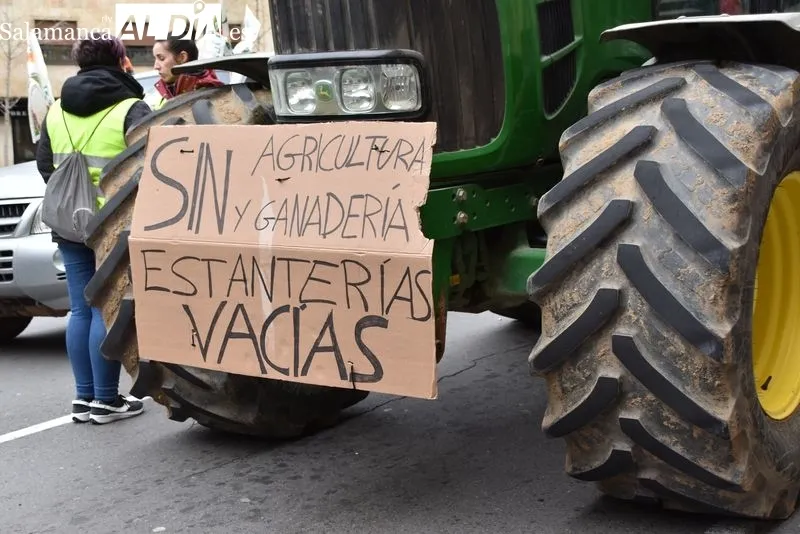 'D.E.P. La ganadería se muere' o 'Que no maten nuestras vacas, que las curen' entre las frases del día | FOTOS: Vanesa Martins 