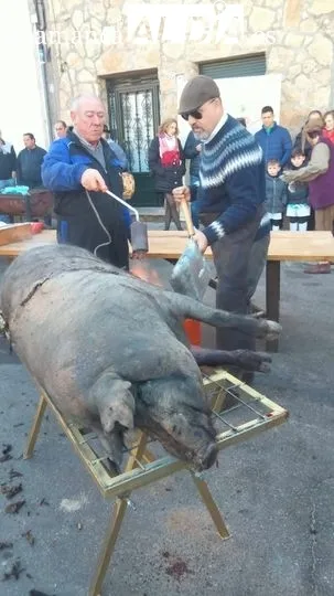 Castellanos de Moriscos celebra la Matanza Tradicional | FOTOS: Sofía Merino 