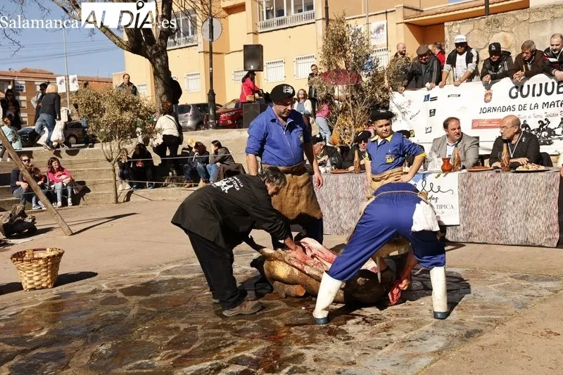 Matanza tradicional de Guijuelo 2024 | FOTOS: David Sañudo 