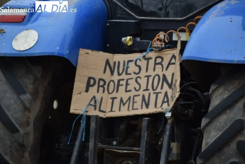 'D.E.P. La ganadería se muere' o 'Que no maten nuestras vacas, que las curen' entre las frases del día | FOTOS: Vanesa Martins 