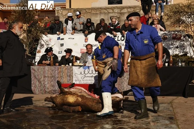 Matanza tradicional de Guijuelo 2024 | FOTOS: David Sañudo 