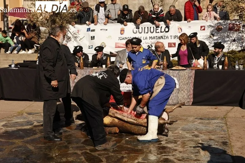 Matanza tradicional de Guijuelo 2024 | FOTOS: David Sañudo 