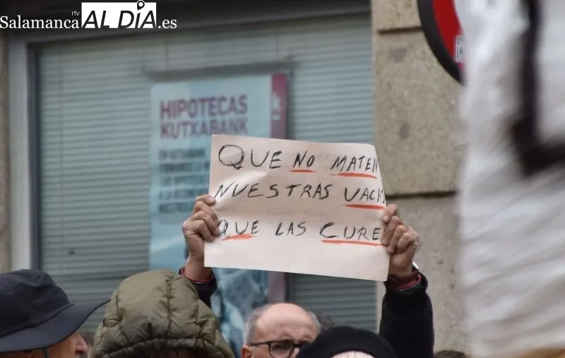 'D.E.P. La ganadería se muere' o 'Que no maten nuestras vacas, que las curen' entre las frases del día | FOTOS: Vanesa Martins 