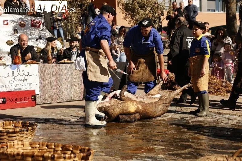 Matanza tradicional de Guijuelo 2024 | FOTOS: David Sañudo 