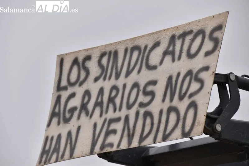 'D.E.P. La ganadería se muere' o 'Que no maten nuestras vacas, que las curen' entre las frases del día | FOTOS: Vanesa Martins 