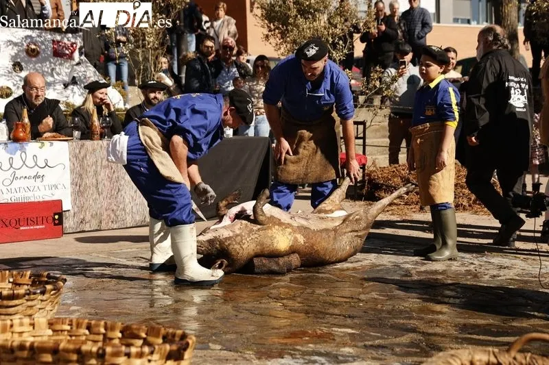 Matanza tradicional de Guijuelo 2024 | FOTOS: David Sañudo 