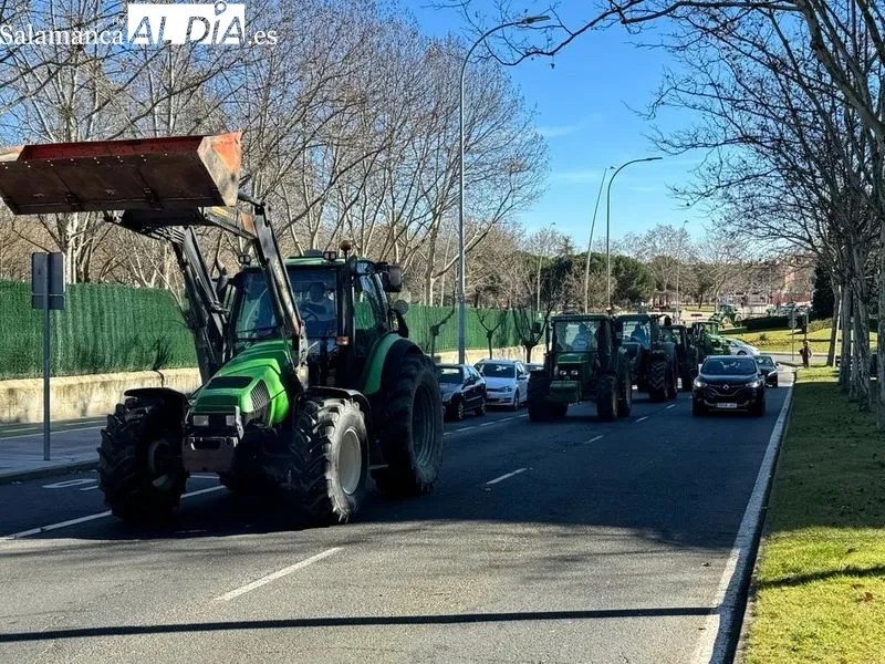 Tractorada en Salamanca de este viernes, a su paso por la avenida Vicente del Bosque, en Garrrido. Foto Raúl Blázquez