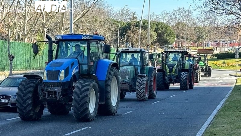 Protesta de tractores este viernes en Salamanca / RAÚL BLÁZQUEZ