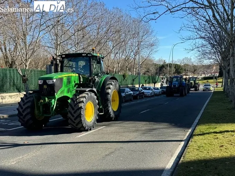 Tractorada en Salamanca de este viernes, a su paso por la avenida Vicente del Bosque, en Garrrido. Foto Raúl Blázquez
