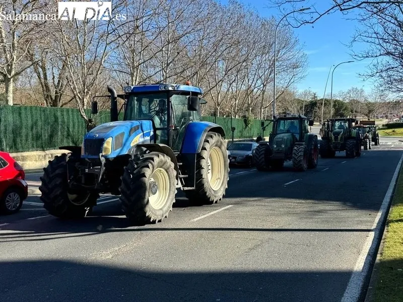 Tractorada en Salamanca de este viernes, a su paso por la avenida Vicente del Bosque, en Garrrido. Foto Raúl Blázquez