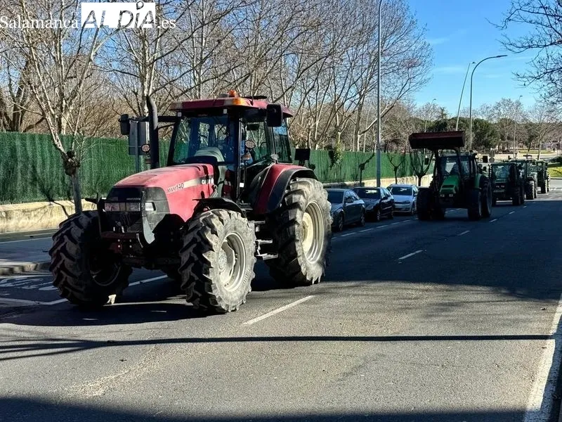 Tractorada en Salamanca de este viernes, a su paso por la avenida Vicente del Bosque, en Garrrido. Foto Raúl Blázquez