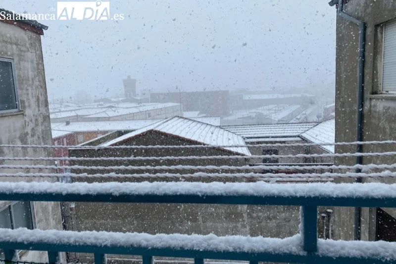 La potente nevada dejaba incidencias en puntos como las Verónicas 