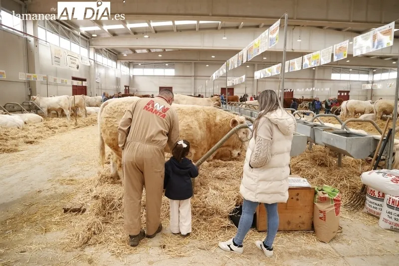 Salón del Vacuno 2024 en el Recinto Ferial de la Diputación. Fotos: David Sañudo.
