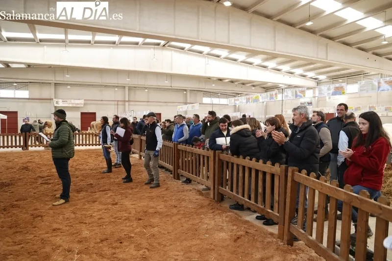 Salón del Vacuno 2024 en el Recinto Ferial de la Diputación. Fotos: David Sañudo.