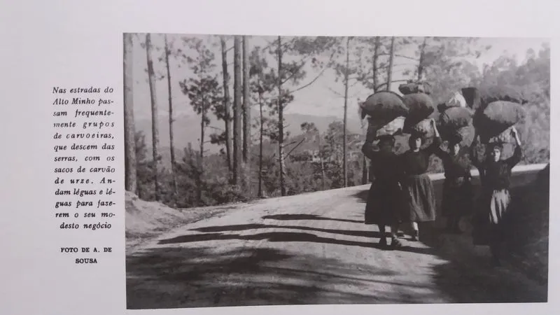 Fotografías contenidas en la obra, de Maria Lamas y otros autores, y fotos de la escritora pertenecientes a los herederos de Maria Lamas en la edición del diario ‘Público’