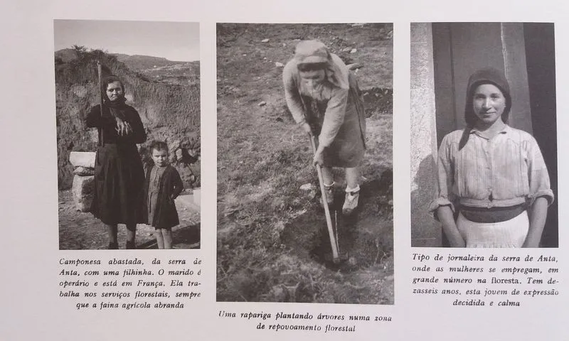 Fotografías contenidas en la obra, de Maria Lamas y otros autores, y fotos de la escritora pertenecientes a los herederos de Maria Lamas en la edición del diario ‘Público’