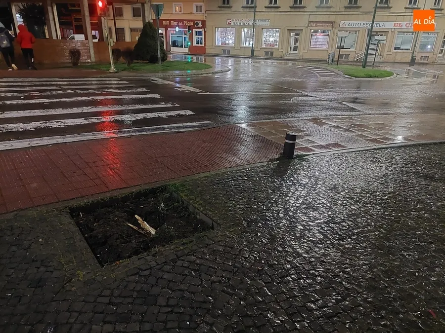 Foto 3 - Un conductor se lleva por delante otro &aacute;rbol en la zona del Cruce
